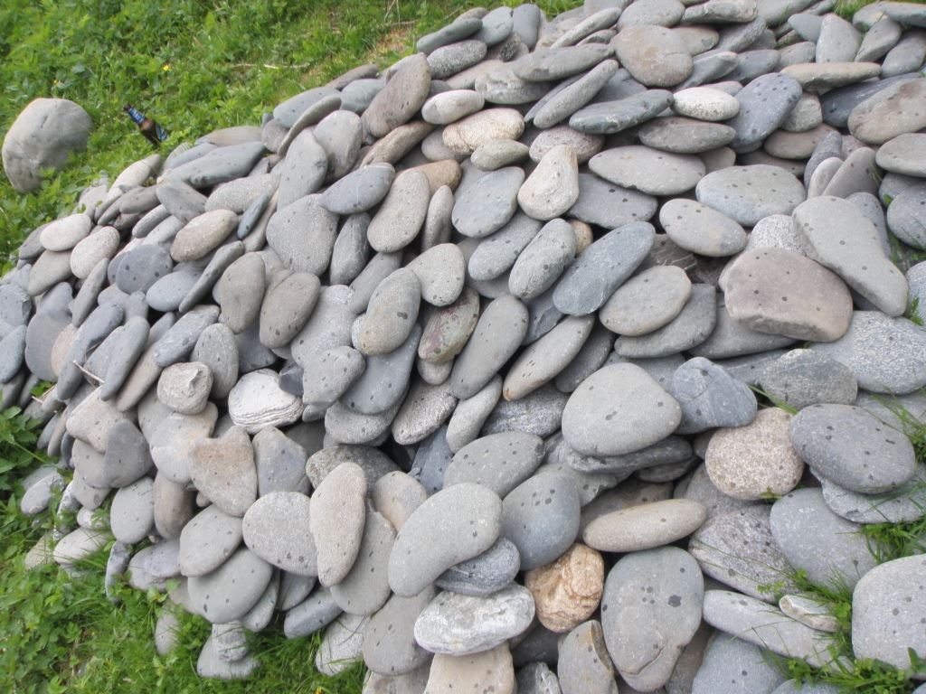 Крупногалечник