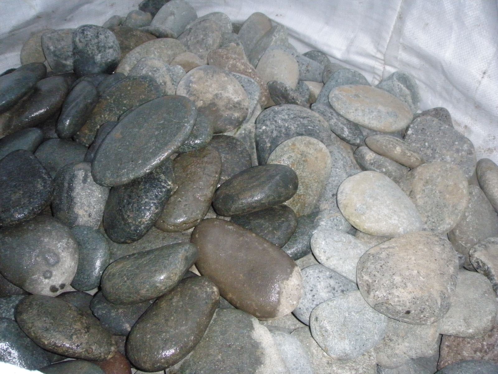 Крупногалечник