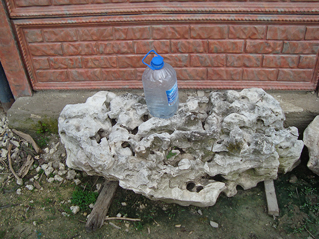 Песчаник корявый