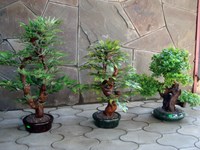 Искусственное дерево