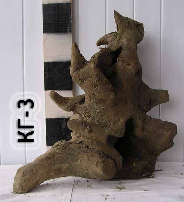 Коряга обработанная