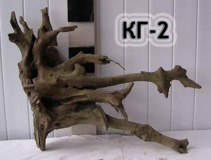 Коряга уникальной формы