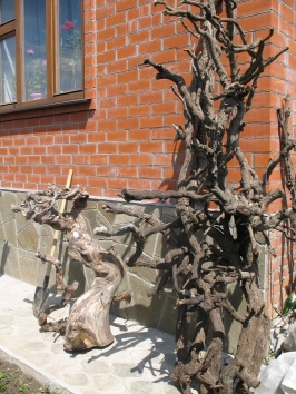 Коряга для террариума