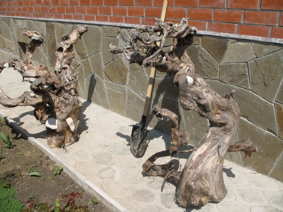 Декоративная коряга