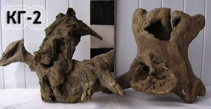 Коряга для сада