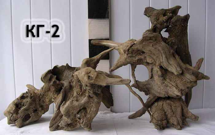 Натуральная коряга