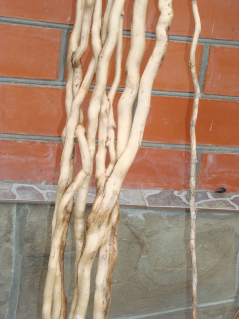 Плющ в ресторане